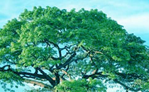 �����еĴ��-�����H������800��