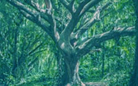 ���(sh��)���ĸ��� 800��