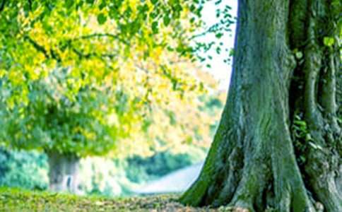 ���������������800��