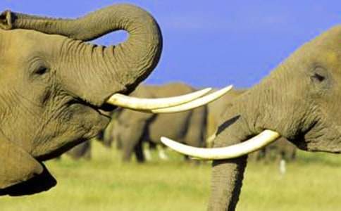 �Ǻʹ�������9ƪ