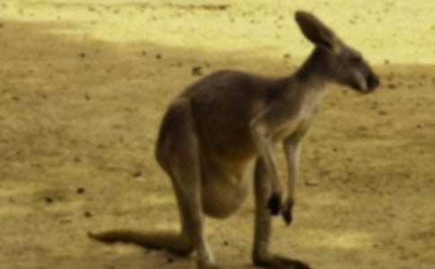 ��������600����ƪ