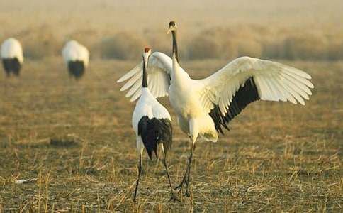 �茑����Q�����ģ����x7ƪ��