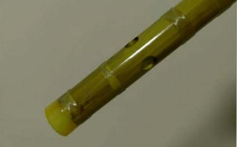 笛子作文600字(精選19篇)