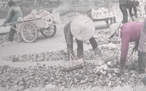 ���|(zh��)���a(ch��n)��(sh��)��(x��)��(b��o)��6ƪ