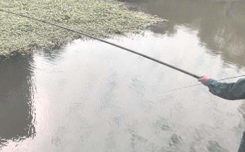 ��~(y��)�Ć�ʾ����400�֣����x4ƪ��