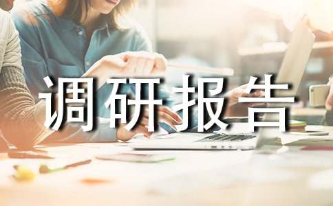 鄉(xiāng)鎮(zhèn)財政調(diào)研報告