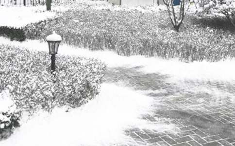 ������һ��ѩ������550��