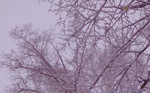 �������Z(y��)������