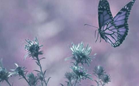 ��ֲ����^������