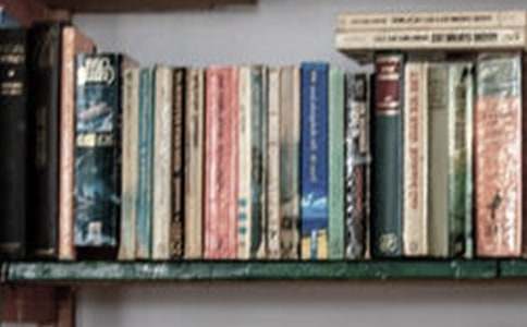 �y�����x��������11ƪ