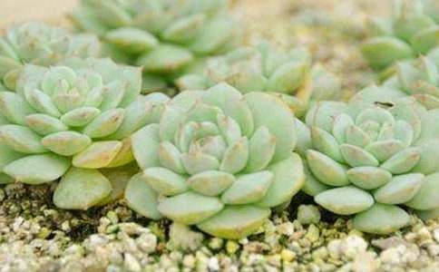 �茑��������ģ����x74ƪ��