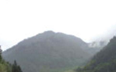 ��üɽ�Č�������550��