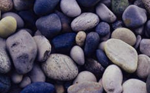 雞蛋和鵝卵石童話作文