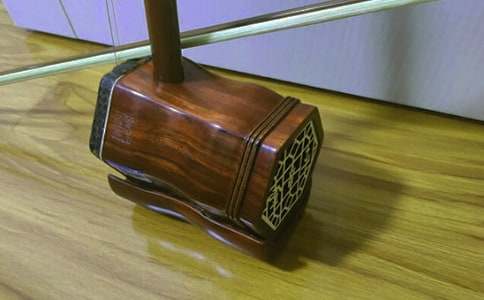 我記憶深處的二胡作文