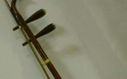 我學(xué)會(huì)了拉二胡小學(xué)作文