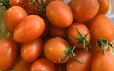 給番茄的一封信作文400字