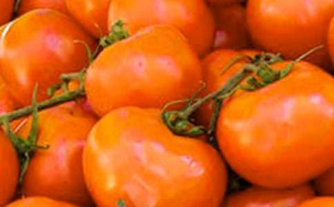 ��ժС����С�W(xu��)������600��