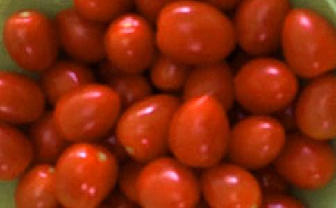 我的番茄,性格分明作文