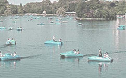 泛舟西湖作文(4篇)