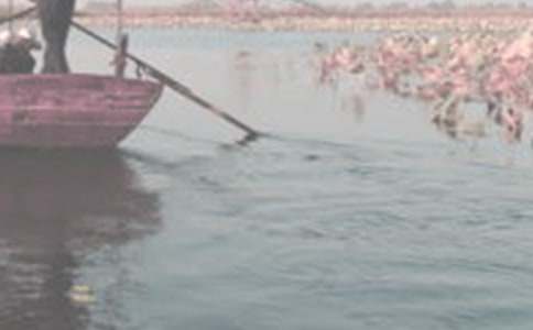 ���|���T���۶��ס���Ԋ�b�p