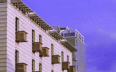 小學(xué)生未來的房子想象作文精選