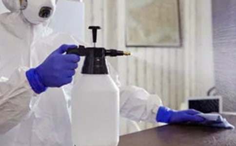 狗窩作文300字合集六篇