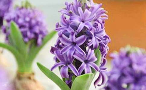 �������L(f��ng)����