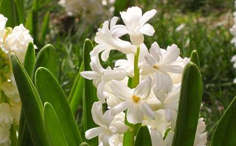 ������L(f��ng)��������500��