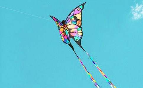 ���L(f��ng)�~�����ģ����x49ƪ��