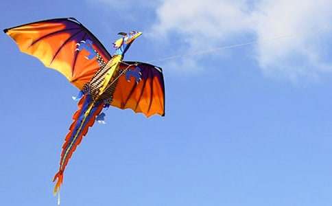 �L(f��ng)�~������400�֣����x95ƪ��