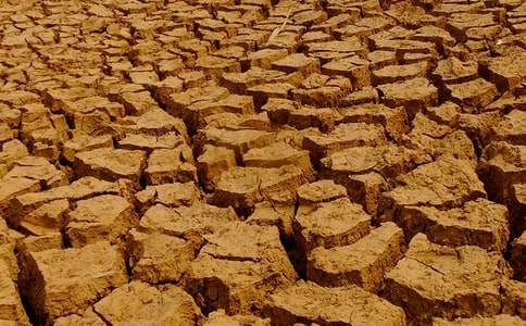 世界防止荒漠化和干旱的作文:保護(hù)我們的綠色家園