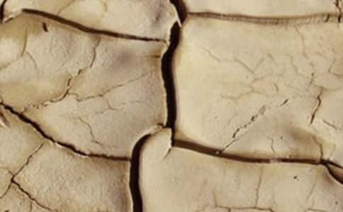 世界防治荒漠化和干旱日宣傳活動方案