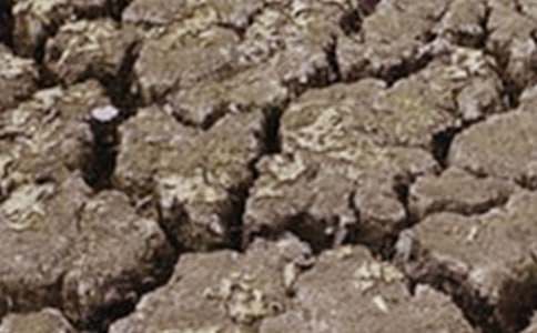 �ɺ���ˮ����