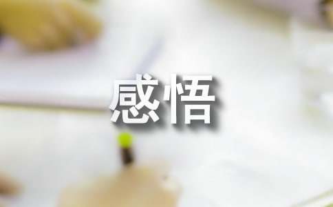 感悟那“迷”