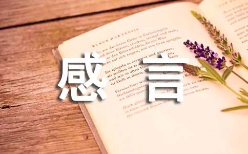 新春感言優(yōu)秀作文