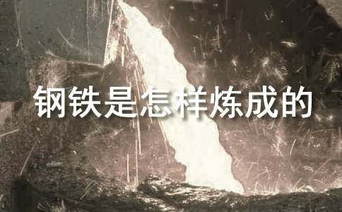 《鋼鐵是怎樣煉成的》讀書筆記600字