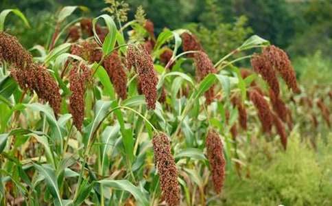 С�W�Z�ġ������顷�̰�����