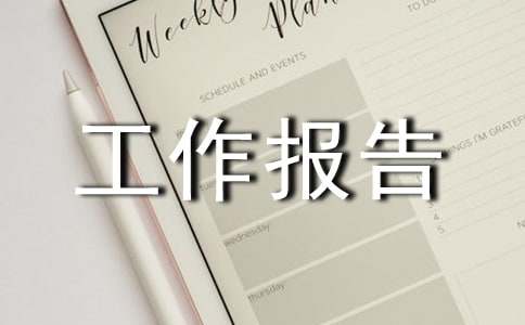 總經(jīng)理工作報告總結(jié)