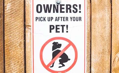 2015�꺣�P�����15̖���桸���¡�