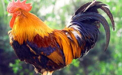 �茑���u��С�W(xu��)����(���\7ƪ)