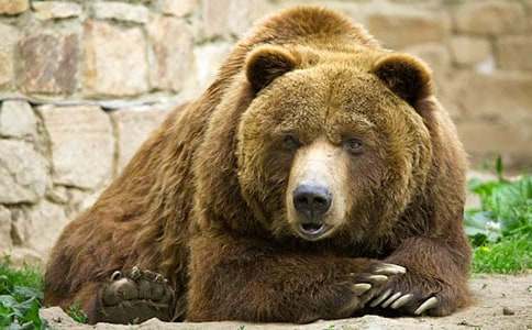 �b���Ĺ���ؐؐͯԒ����