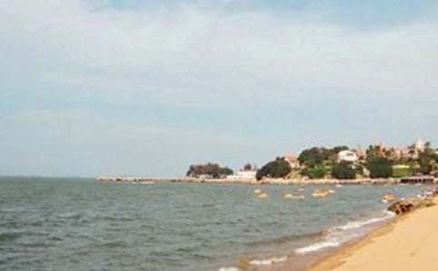 【優(yōu)選】游廈門鼓浪嶼作文6篇