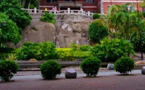 鼓浪嶼作文游記800字(通用57篇)