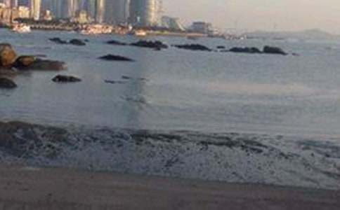 �y���ďB�T���ˎZ֮������