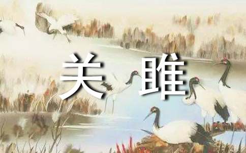 關(guān)雎改寫作文(通用17篇)