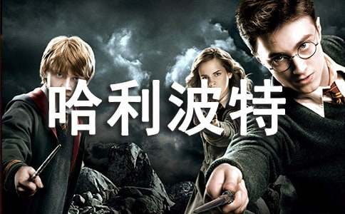 哈利波特感悟初中作文