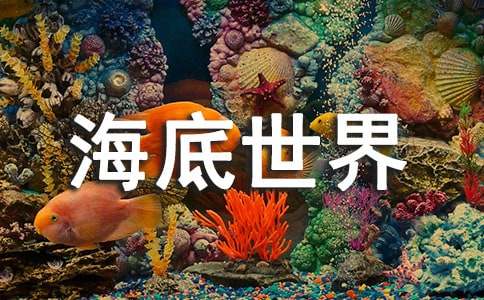 美麗的海底世界作文(精選39篇)
