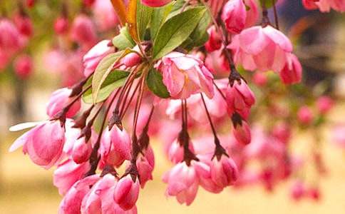 ��߅��Ĩ���ļt����700�ֳ������ķ��ģ�ͨ��5ƪ��