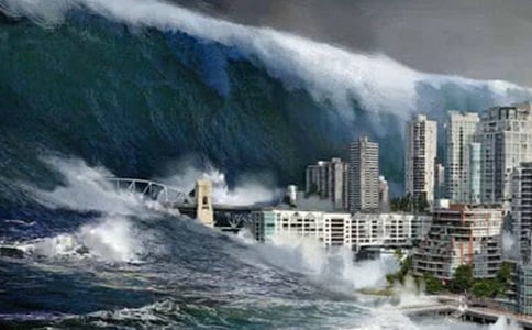 神秘的海嘯閱讀訓(xùn)練及參考答案