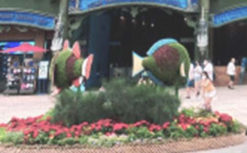 ����ĺ��󹫈@����